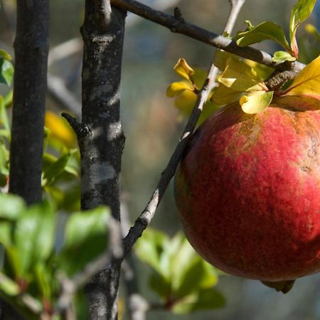 El Jardin De Los Suenos Родалкилар Екстериор снимка