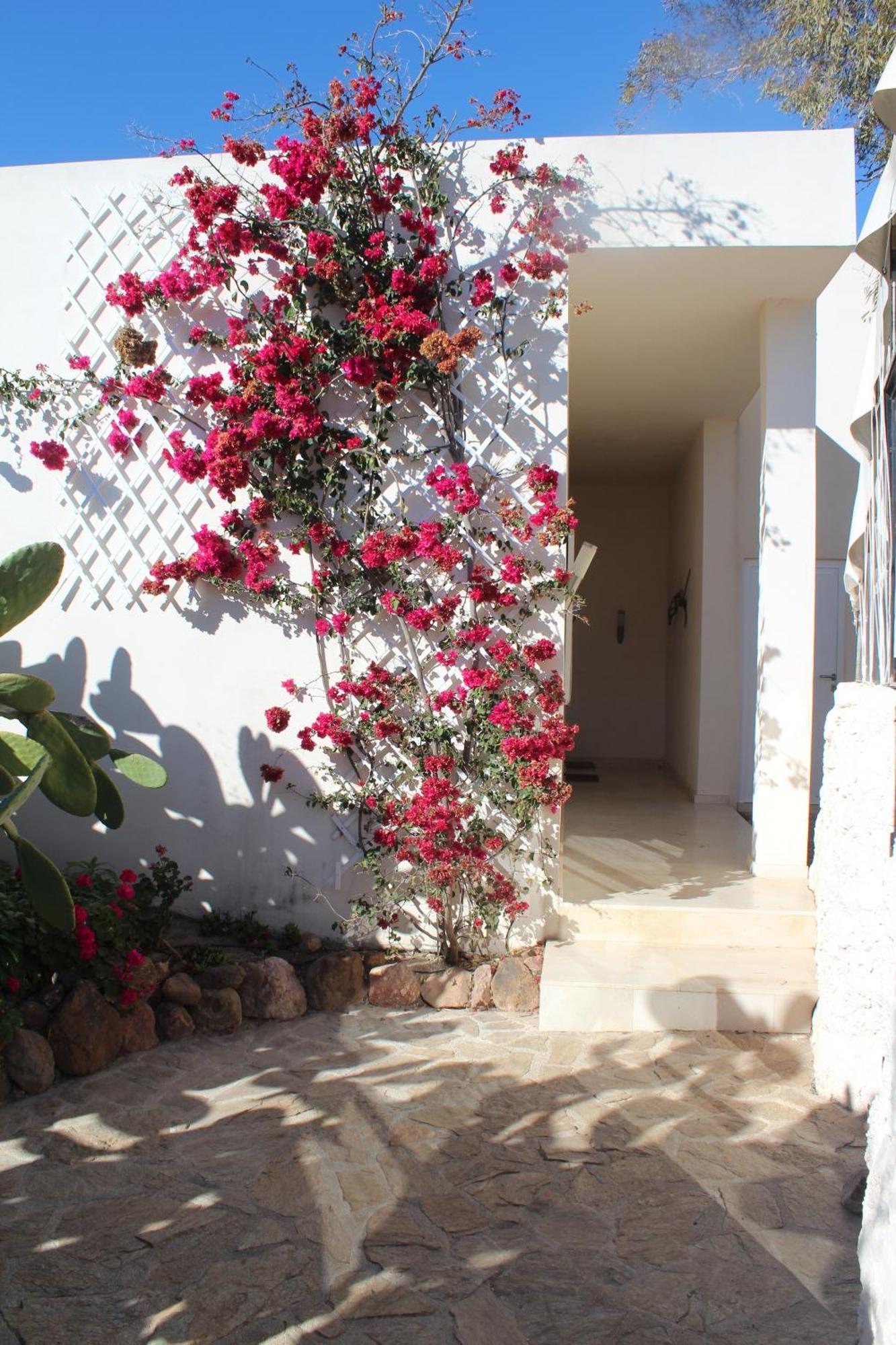 El Jardin De Los Suenos Родалкилар Екстериор снимка